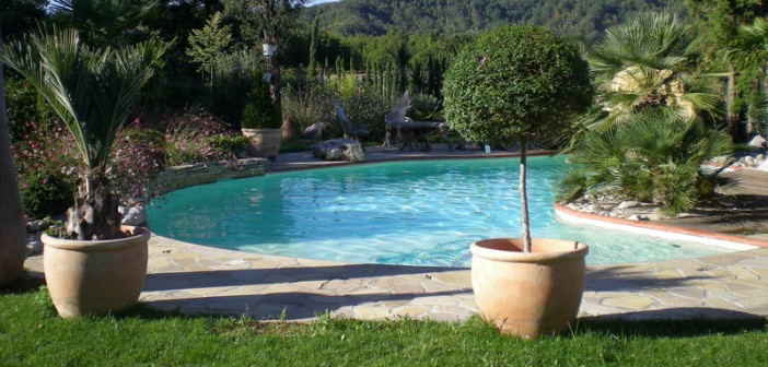 Piscine de jardin